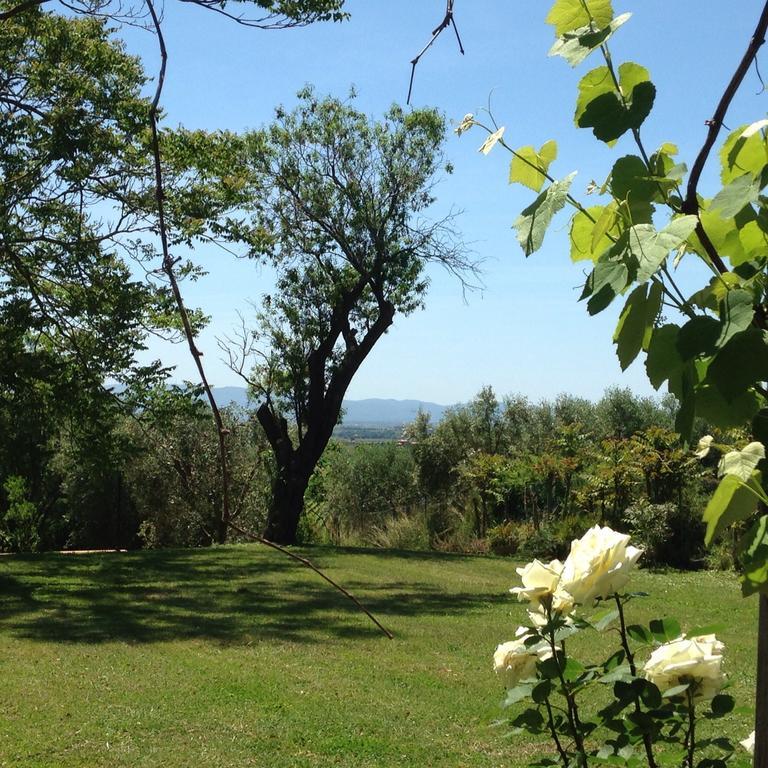 Residenza Santa Maria In Borraccia Bed & Breakfast Magliano in Toscana Exterior foto