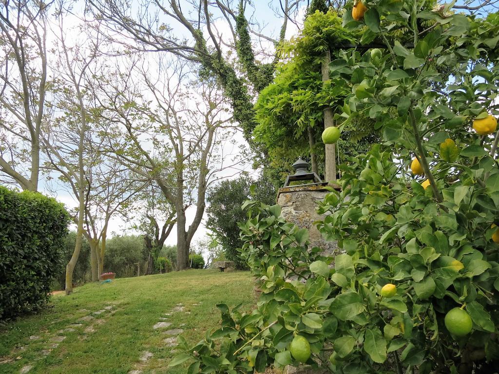 Residenza Santa Maria In Borraccia Bed & Breakfast Magliano in Toscana Exterior foto