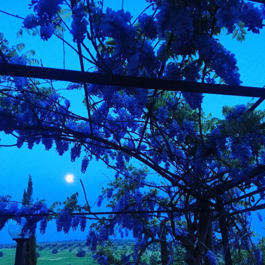 Residenza Santa Maria In Borraccia Bed & Breakfast Magliano in Toscana Exterior foto